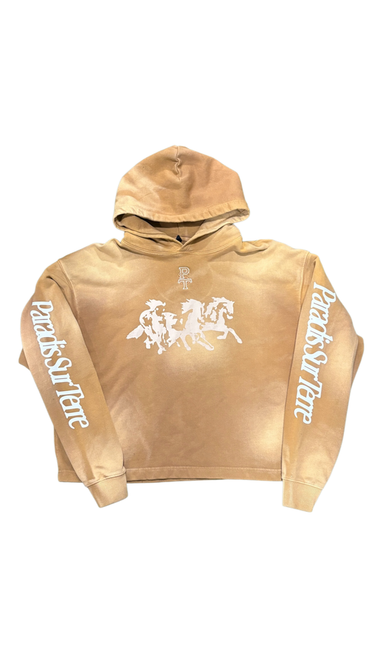 Faded Horses Hoodie 1/1
